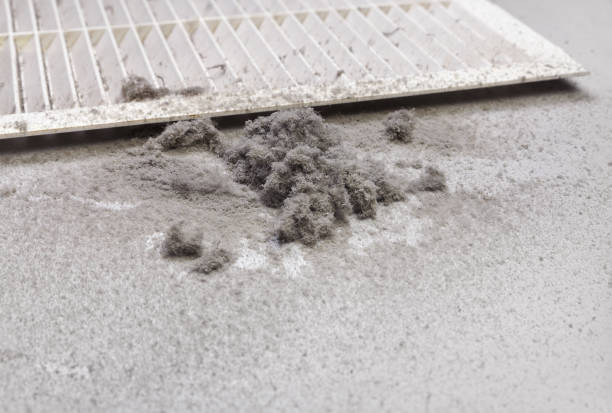Best Air Duct Cleaning Near Me  in Robertsde, AL