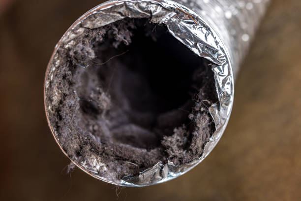 Best Air Duct Cleaning Near Me  in Robertsde, AL